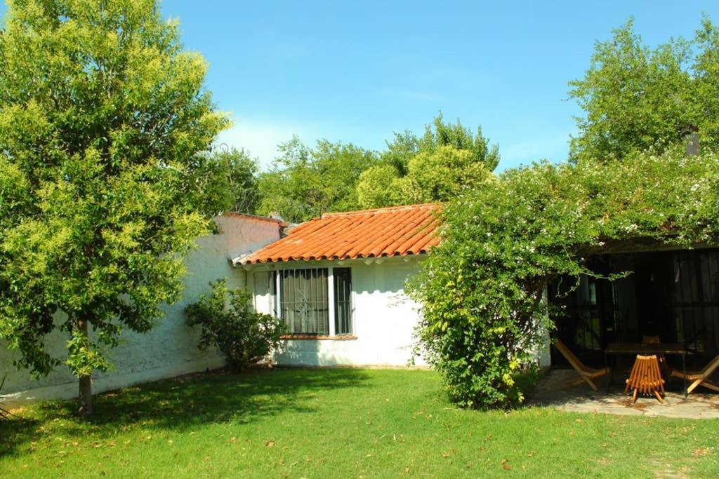 Big Beautiful House With Garden In 5Ta Seccion Neighbourhood Villa Mendoza Exterior foto